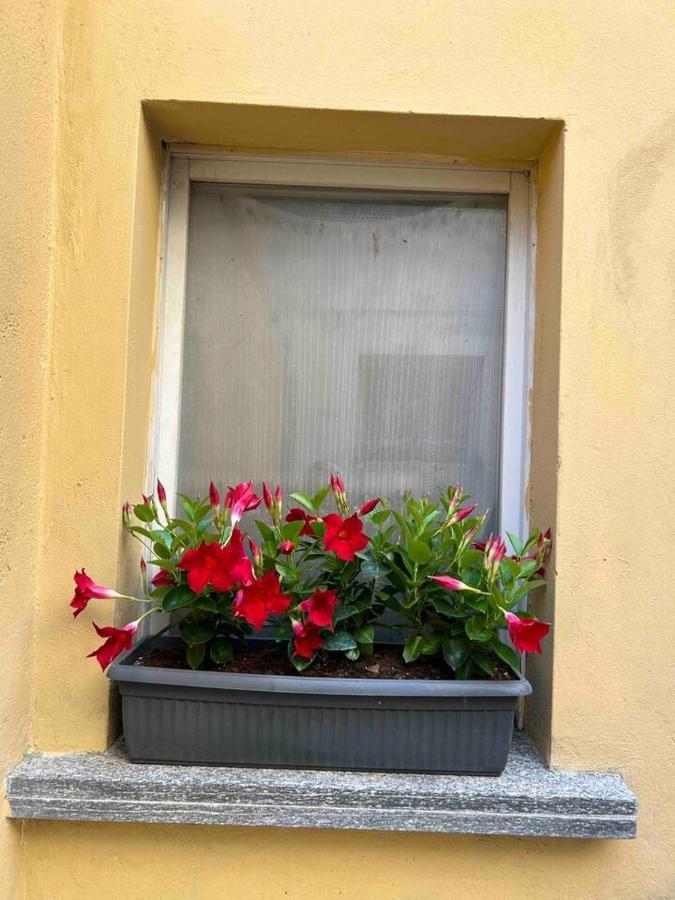 The Green Nest Olginate Exterior foto